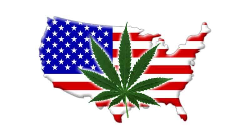 Geographical map of America with American flag and marijuana